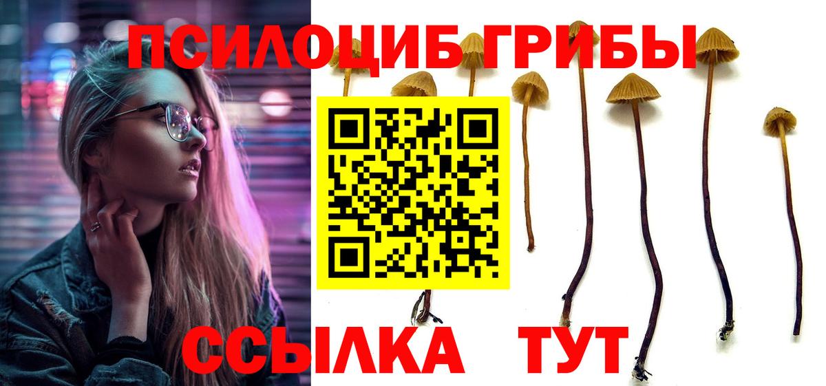 Чистополь  Галлюциногенные грибы ЛСД  Вход с VPN  как найти   Галлюциногенные грибы GOLDEN TEACHER 
